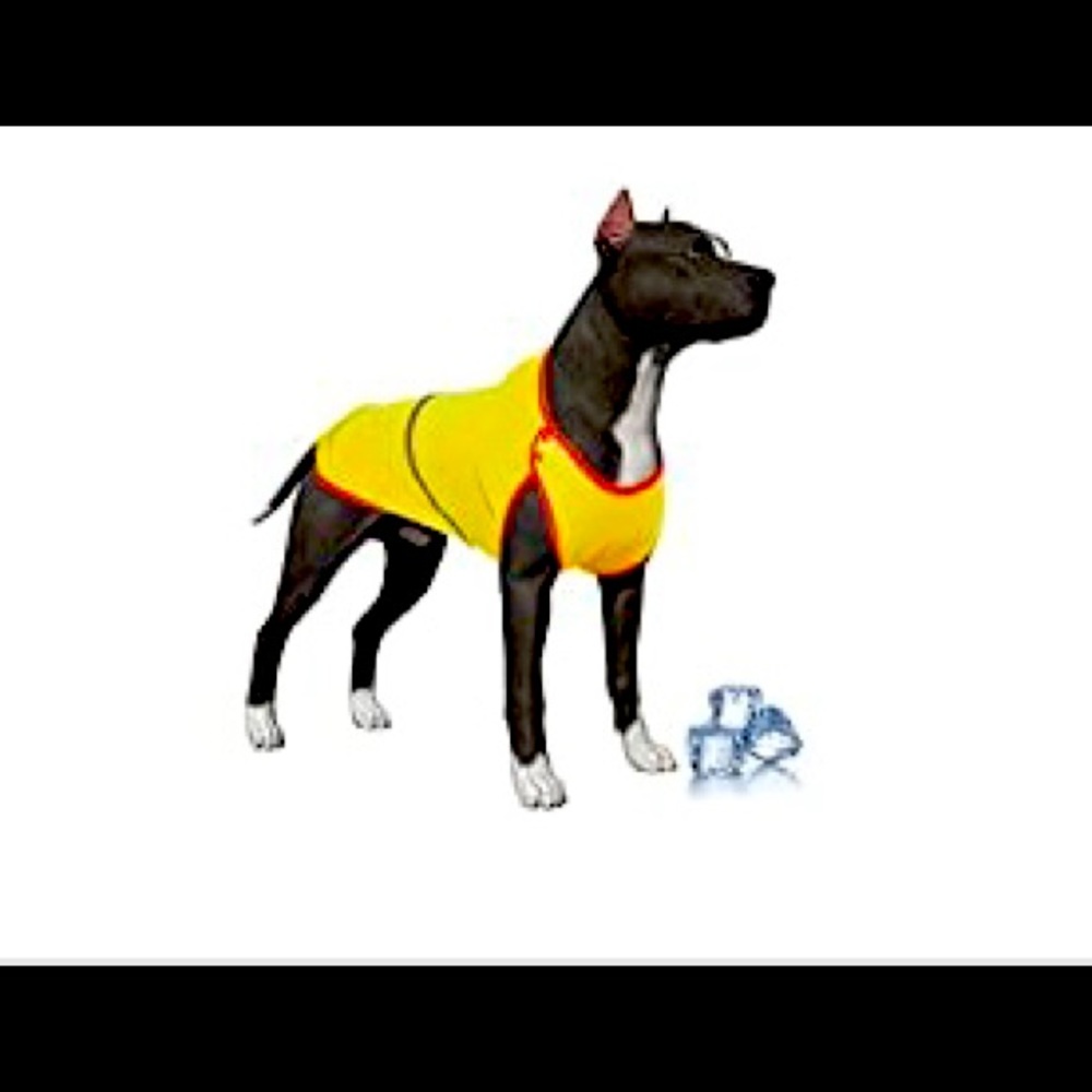 Dog Shirts, Large Dog Shirt, fit for Dog Cooling Shirts Absorb Water/Soft & Easy